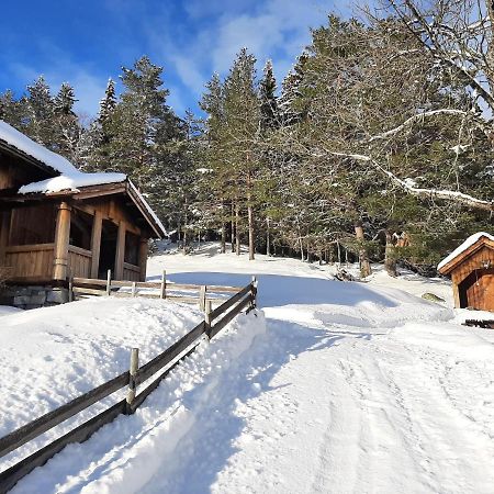 Gamlestugu Greivjord Fjellgard Villa Tuddal Luaran gambar