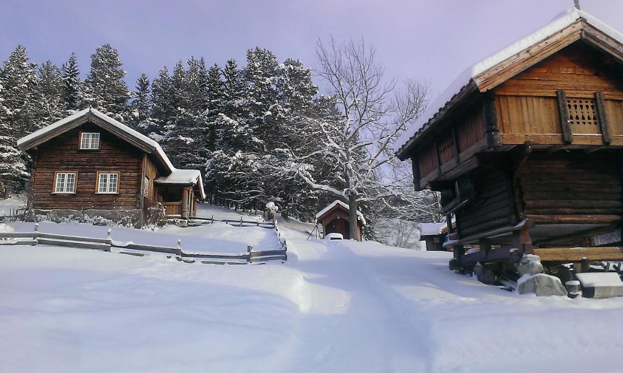 Gamlestugu Greivjord Fjellgard Villa Tuddal Luaran gambar