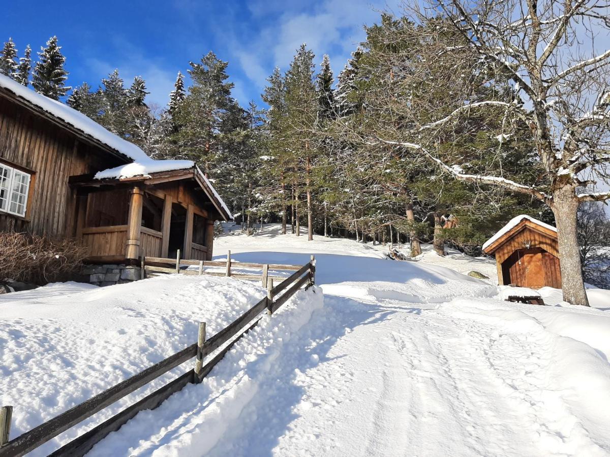 Gamlestugu Greivjord Fjellgard Villa Tuddal Luaran gambar