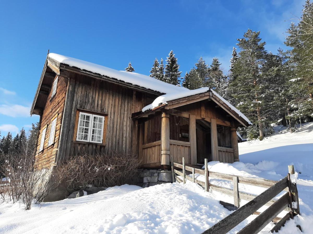 Gamlestugu Greivjord Fjellgard Villa Tuddal Luaran gambar