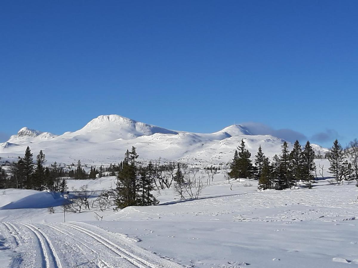 Gamlestugu Greivjord Fjellgard Villa Tuddal Luaran gambar